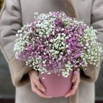 Облако в коробке